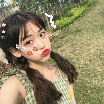 太阳花
