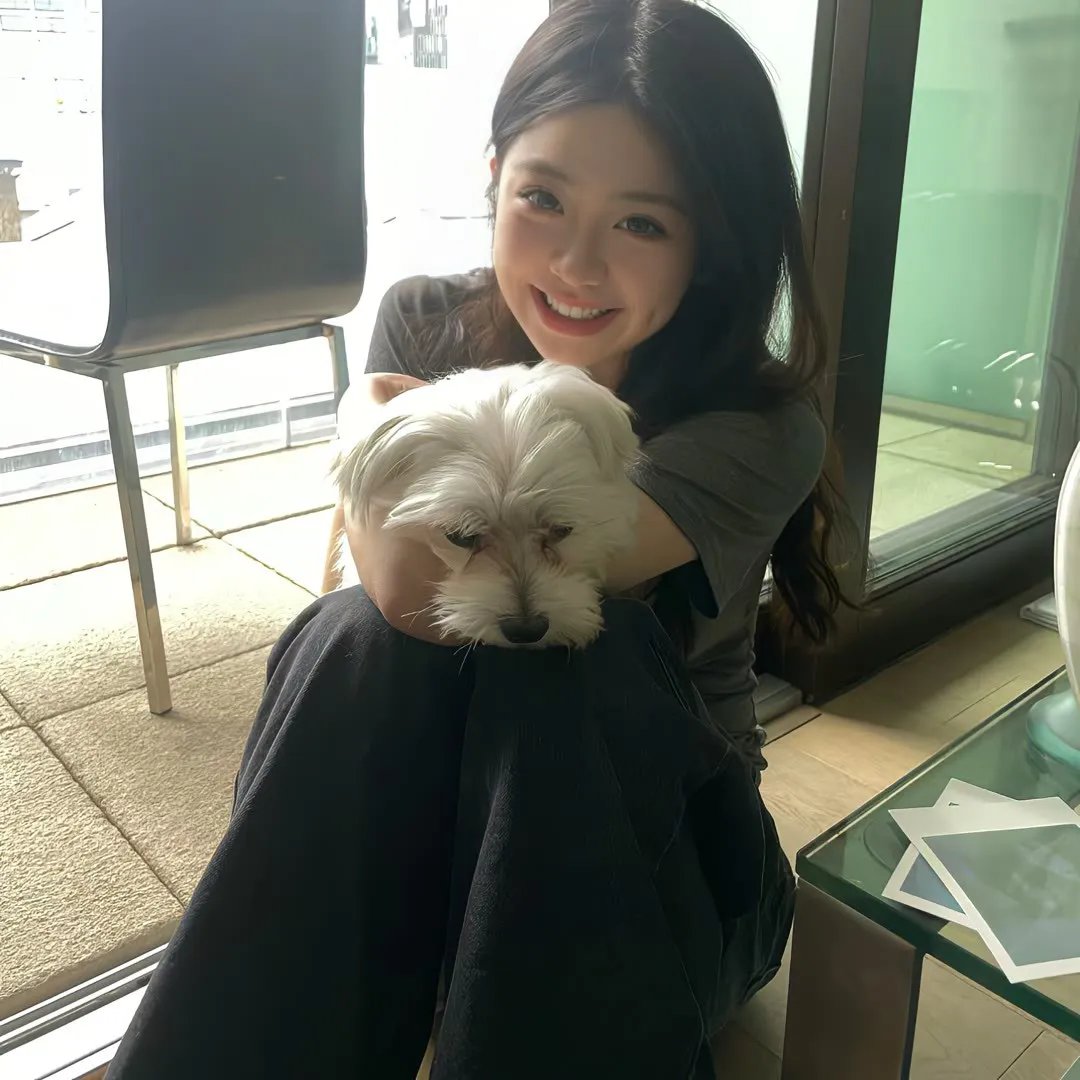 金光松美的四块石板
